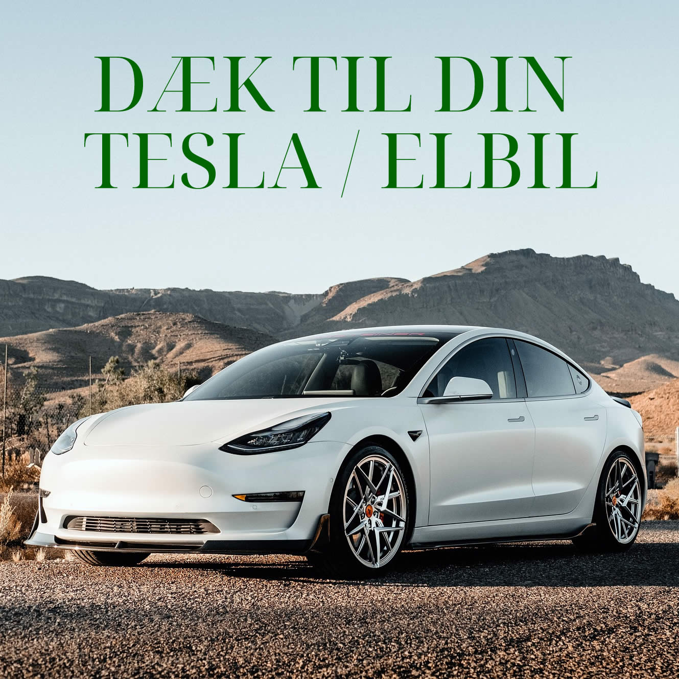 Dæk til din Tesla eller Elbil - Hvad skal du være opmærksom på ?