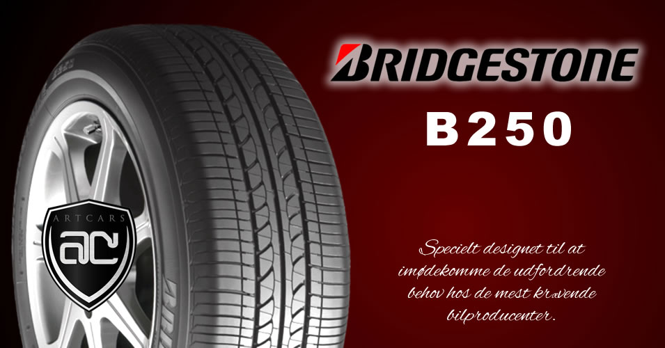 Bridgestone B 250