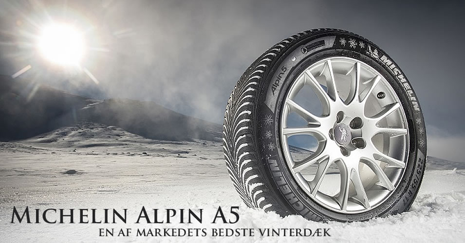 Michelin Alpin A5